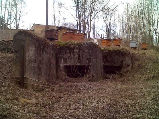 0404_170227.jpg