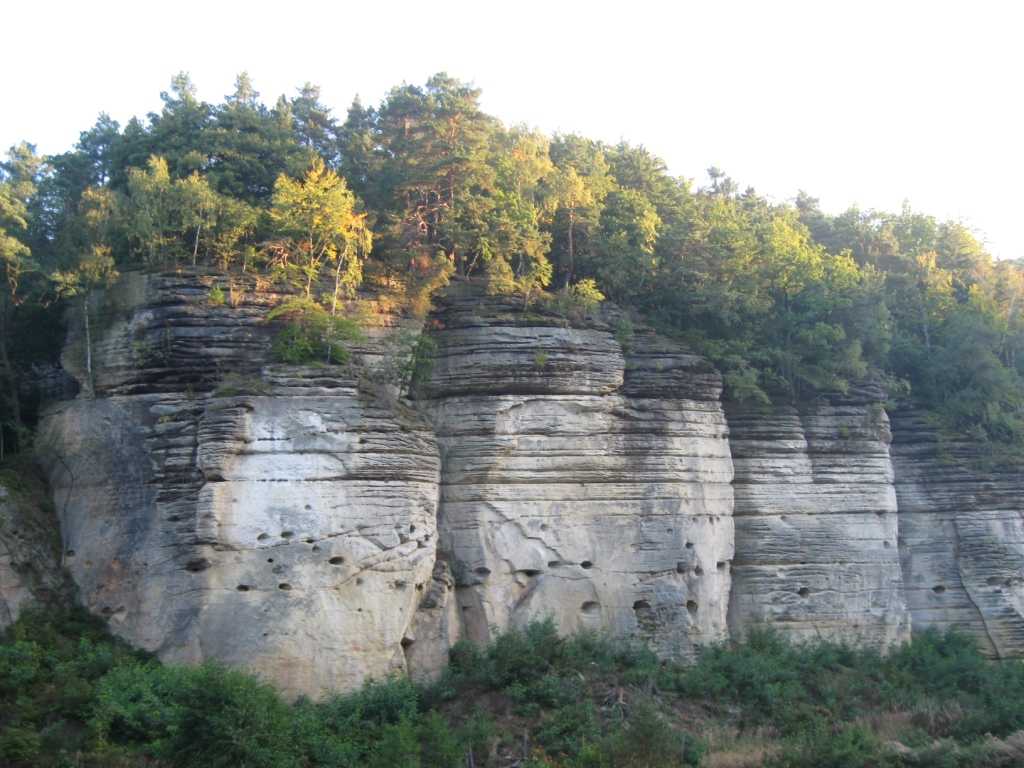 0412_Plakanek_2010n.JPG