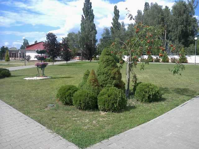Фота0485.jpg