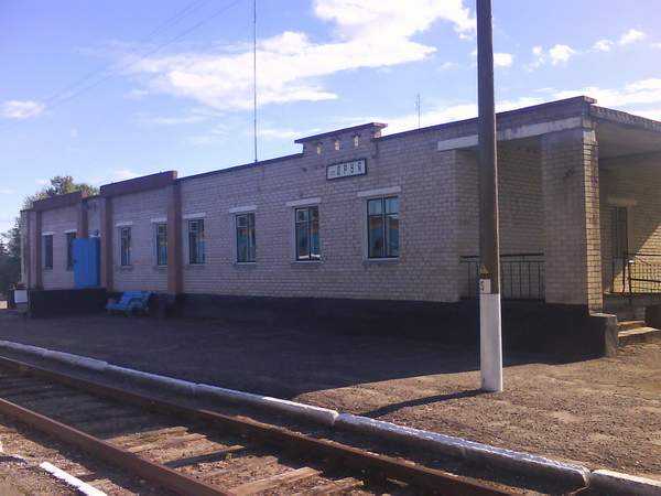060.JPG