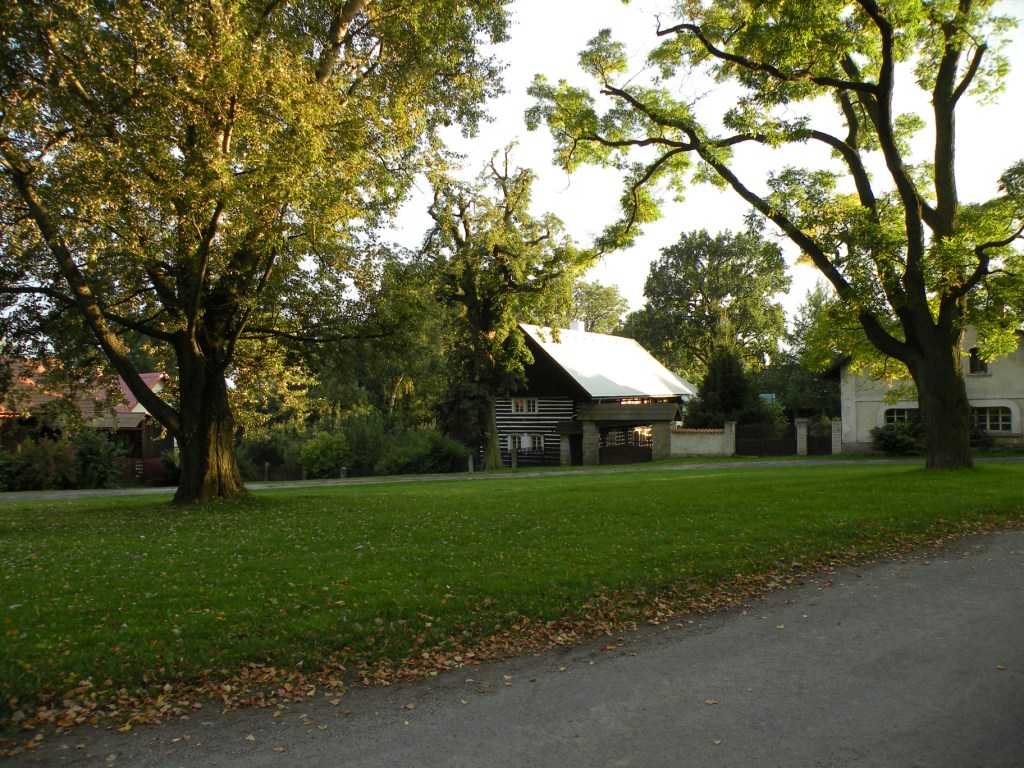 0891_Vesec_2010.JPG