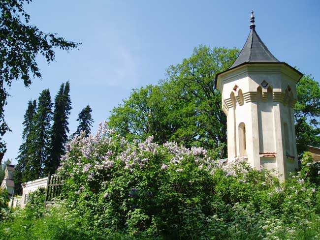 08.jpg