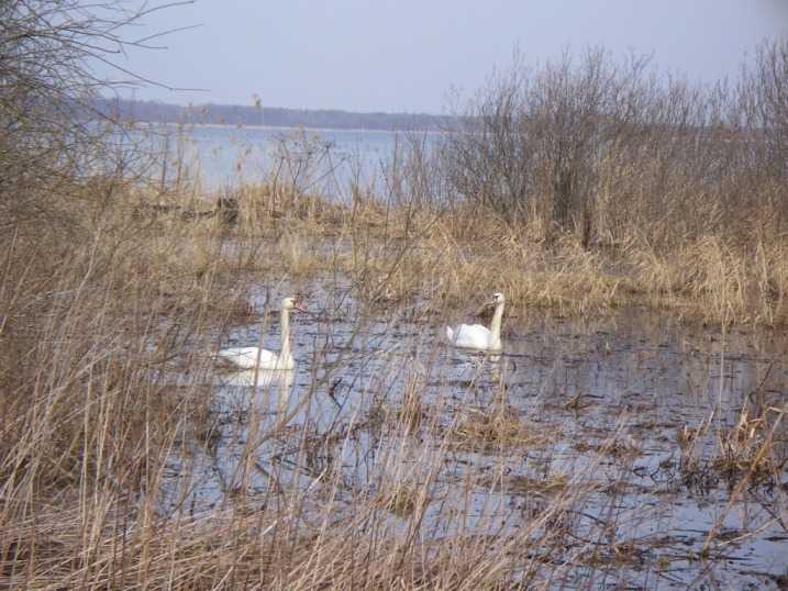 100_2507.JPG