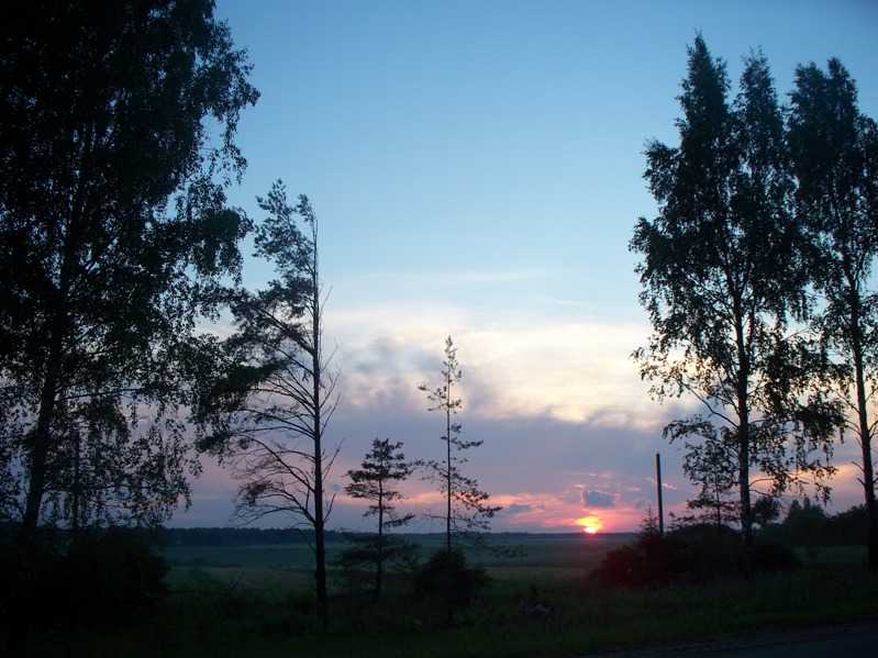 100_4795.JPG