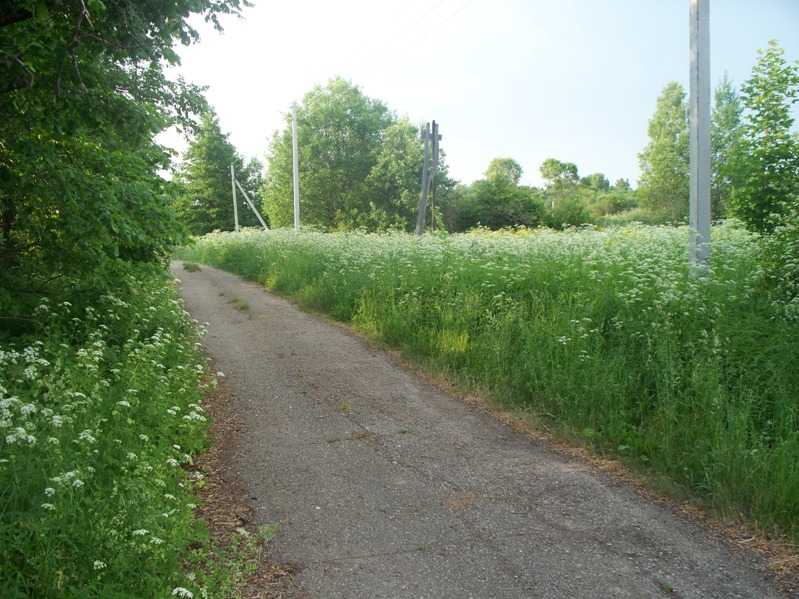 100_4813.JPG