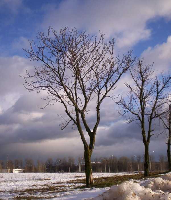 100_5866.JPG