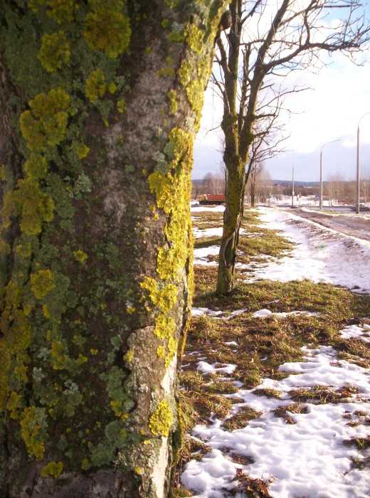 100_5868.JPG