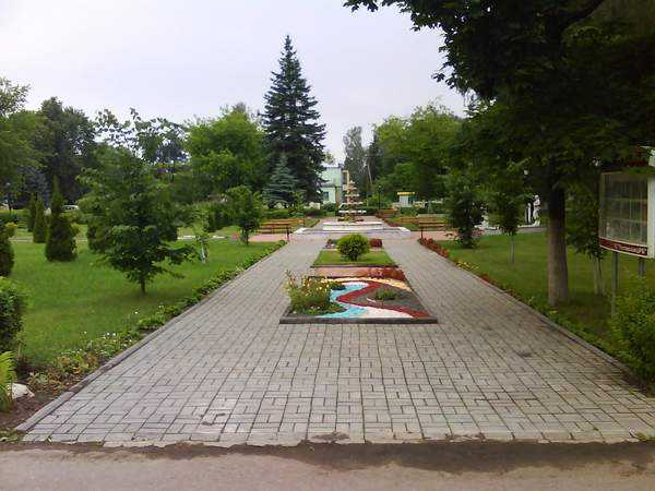 101.JPG