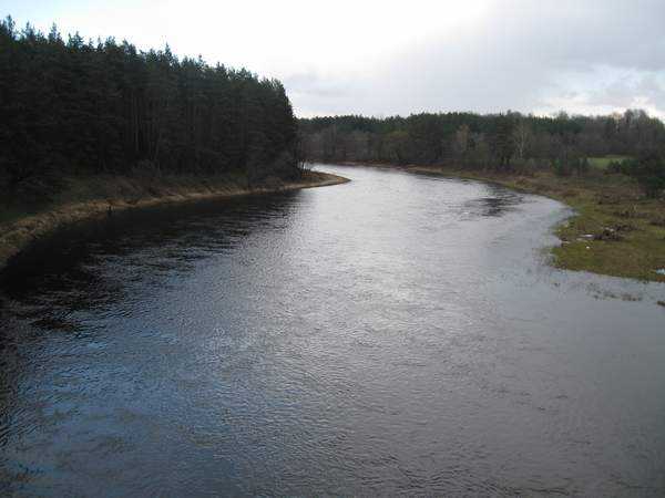 107.JPG