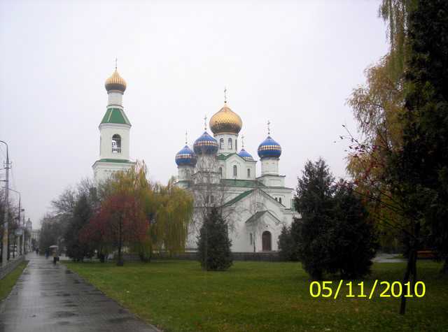 115_4301.JPG