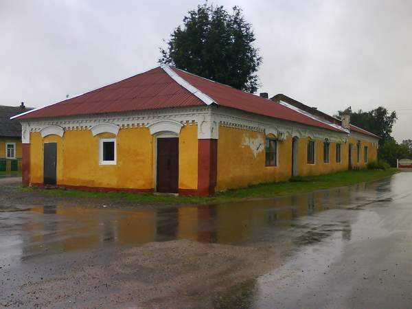 11.jpg