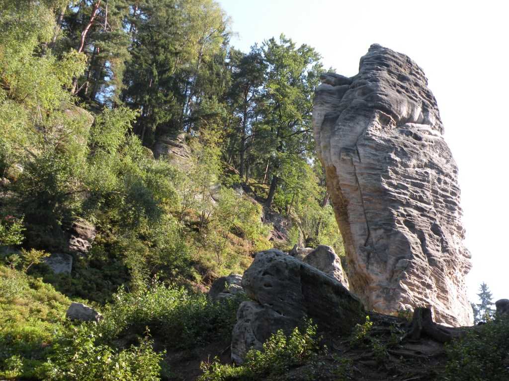 1247_Prachovske skaly_2010.JPG
