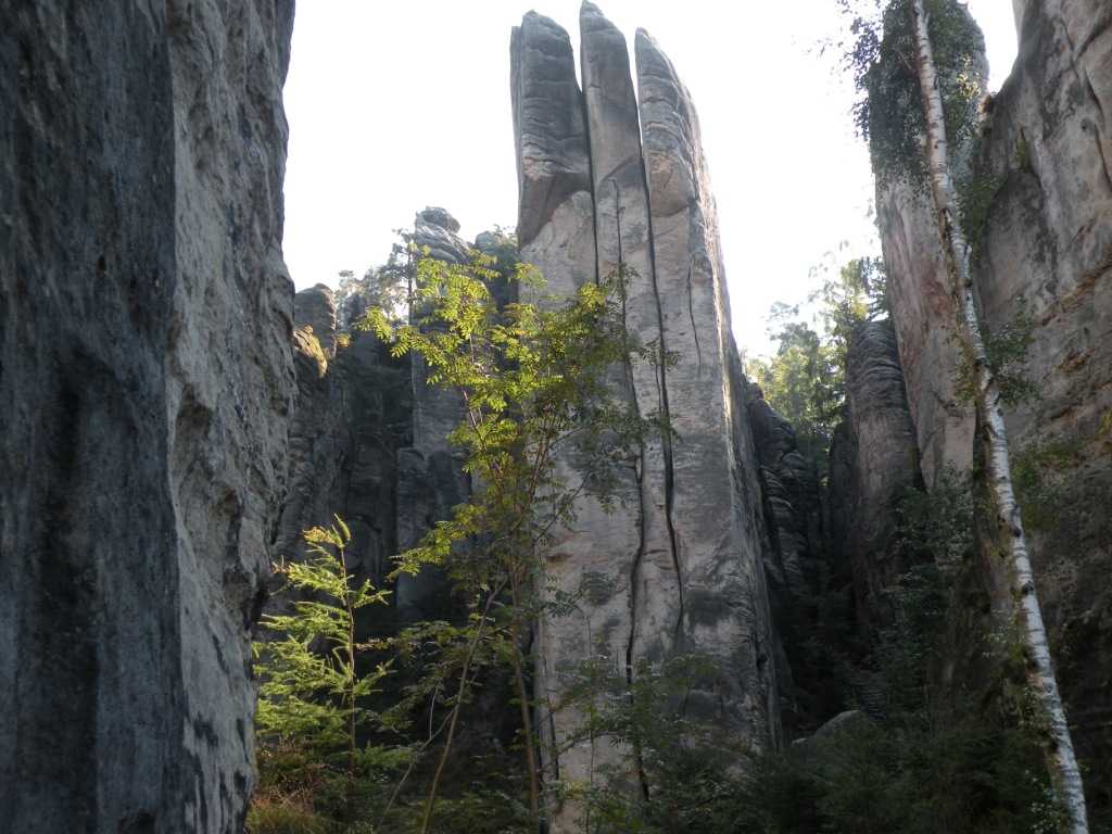 1271_Prachovske skaly_2010.JPG