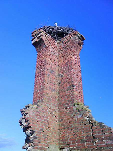 134.JPG