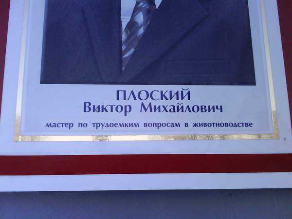 13.JPG