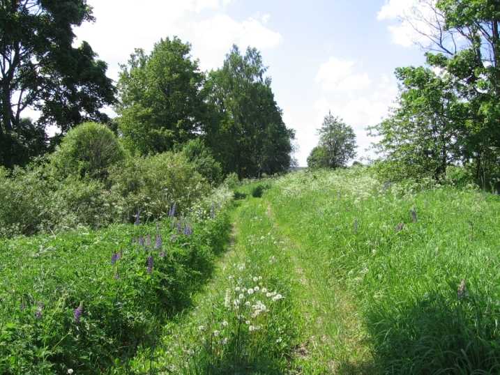 Петровщина.JPG