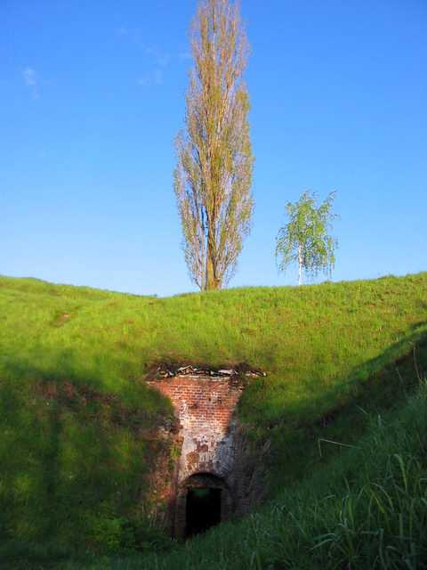 166_6636.jpg
