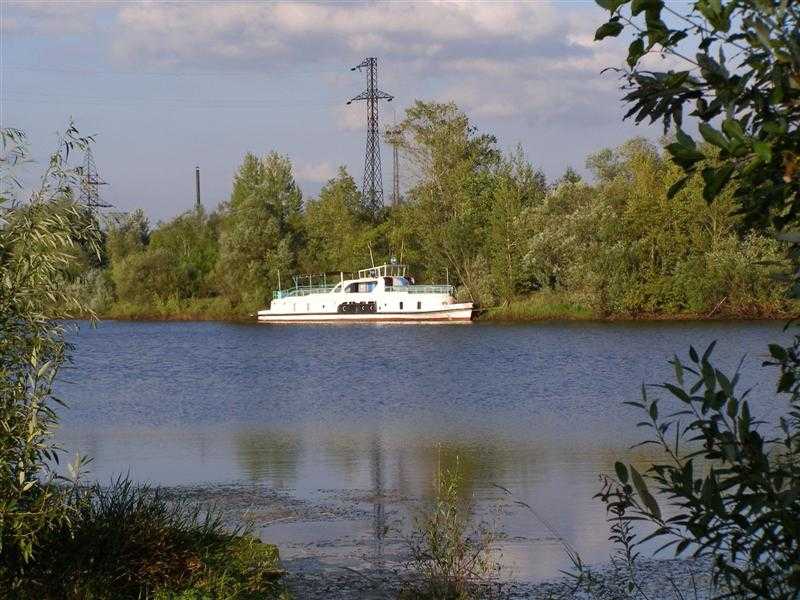Петриков.jpg