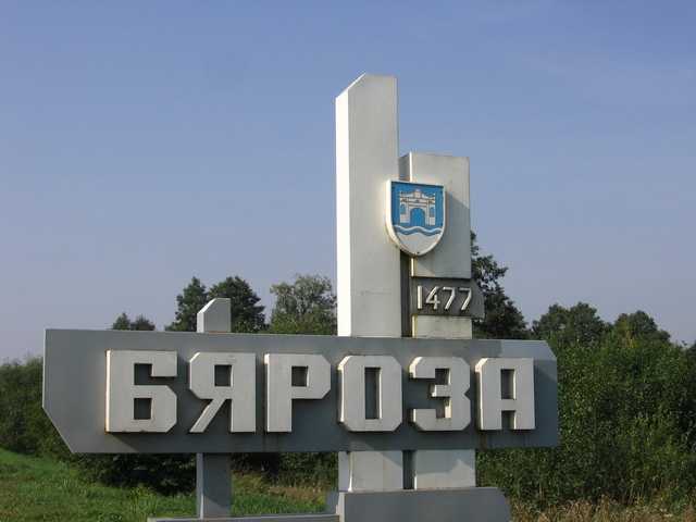 Береза.JPG