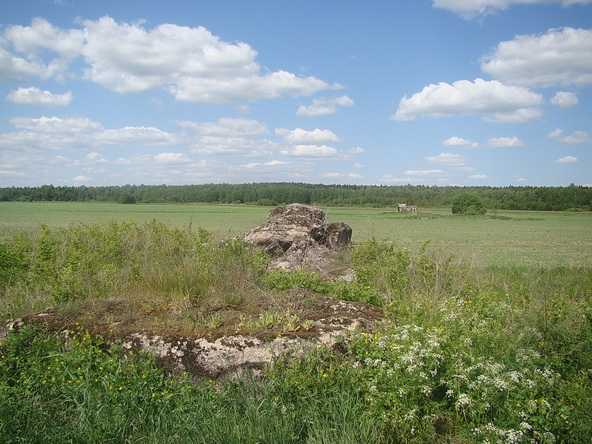 16.JPG