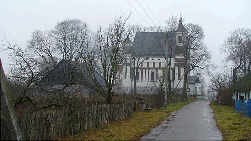 1_291.jpg