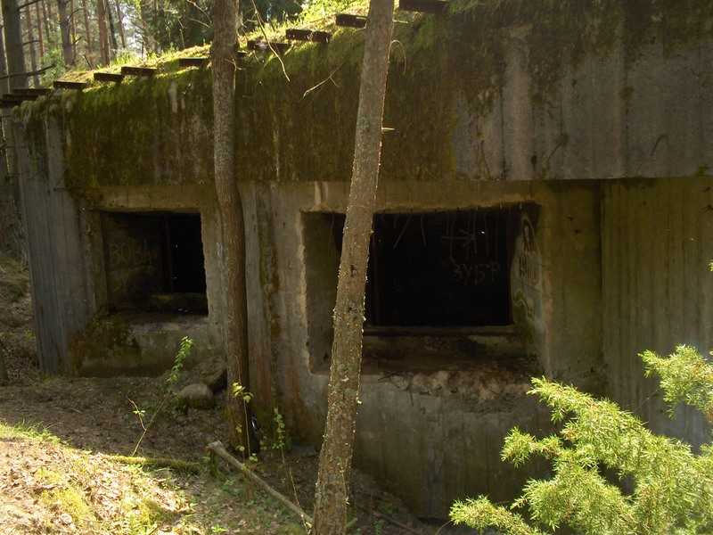 1-6.jpg