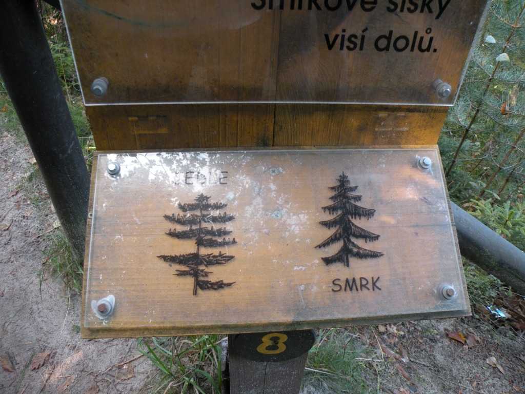 2193_Hruboskalsko_2010.JPG