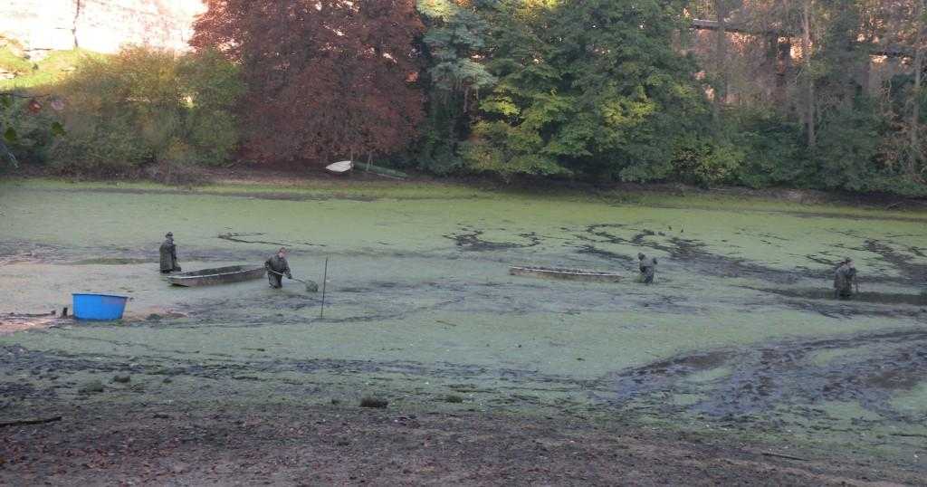 2489_Podkost_2010.JPG