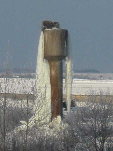 28.JPG