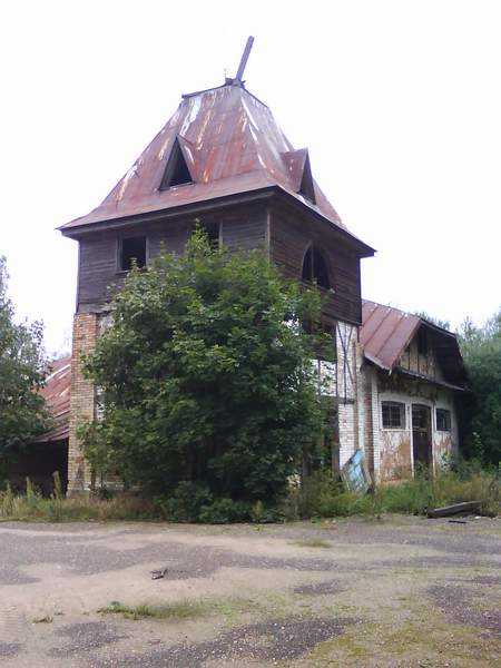 31.JPG