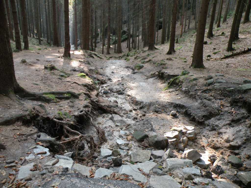 3402_Ceske_Svycarsko_2010.JPG
