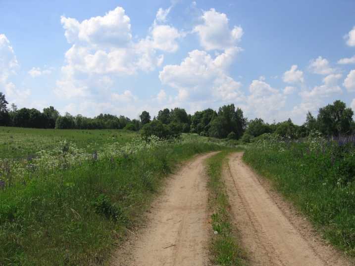 Петровщина3.JPG