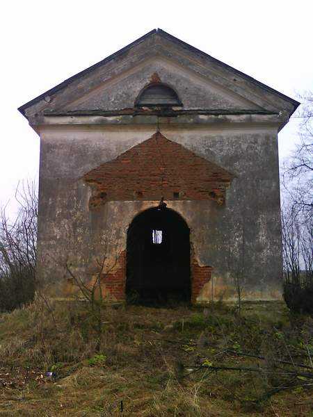 43.jpg