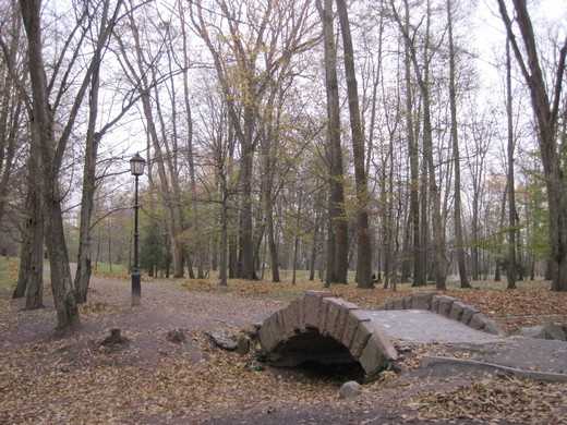 н44.jpg