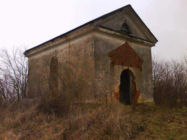 44.jpg