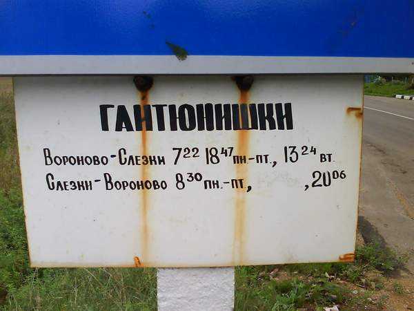 46.JPG