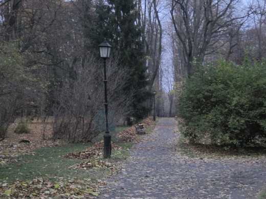 н55.jpg