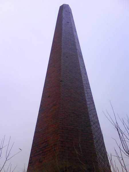 61.JPG