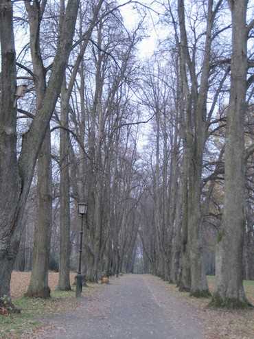 н66.jpg