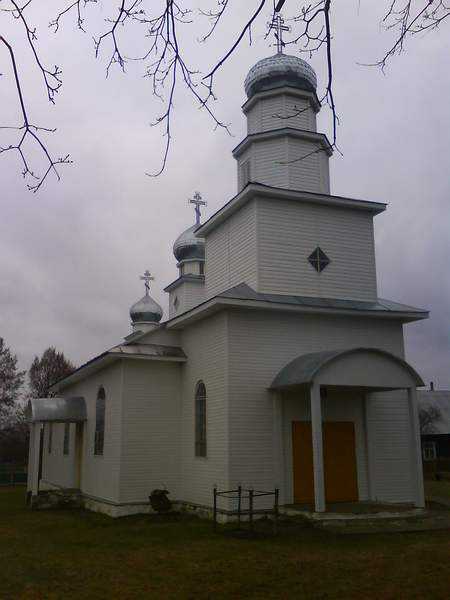 81.jpg