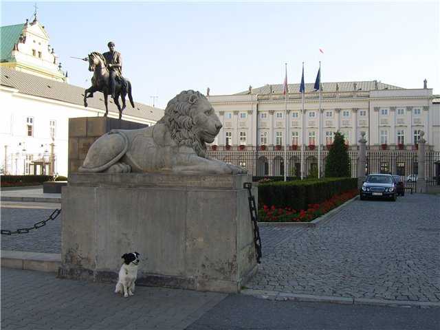 8d0da066588f.jpg