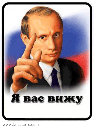 954449622.gif