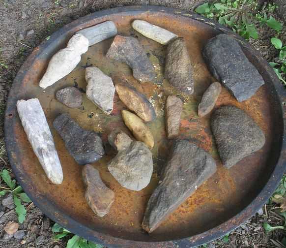 Кропы.jpg