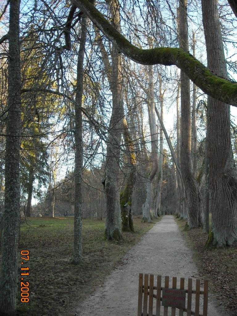 псков_071.JPG