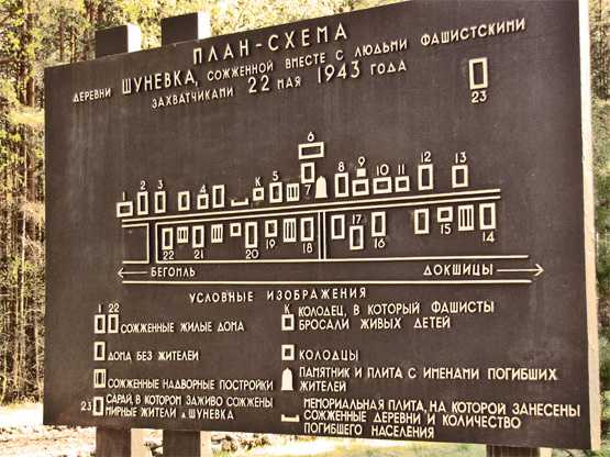 Изображение-180.jpg