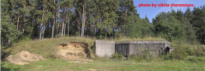 Безимени-1.jpg