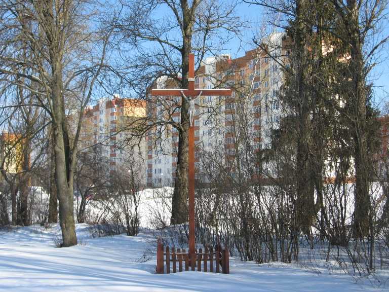 Лесной (31).jpg