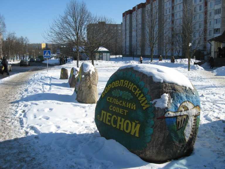 Лесной (5).jpg