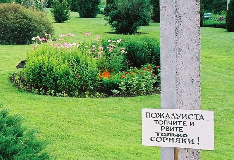 Мосор-к-03.07.25-005.jpg