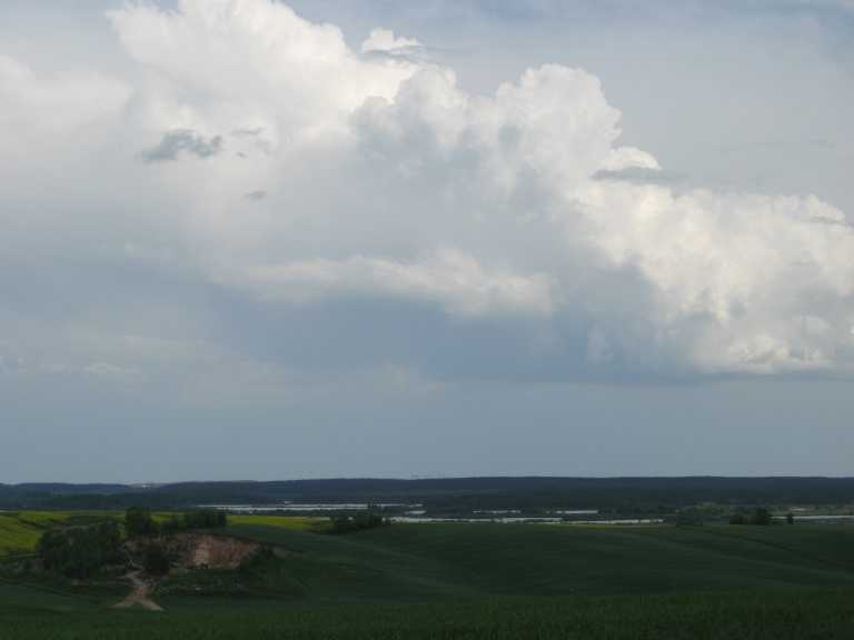 Бабий Лес,Косино (13).jpg